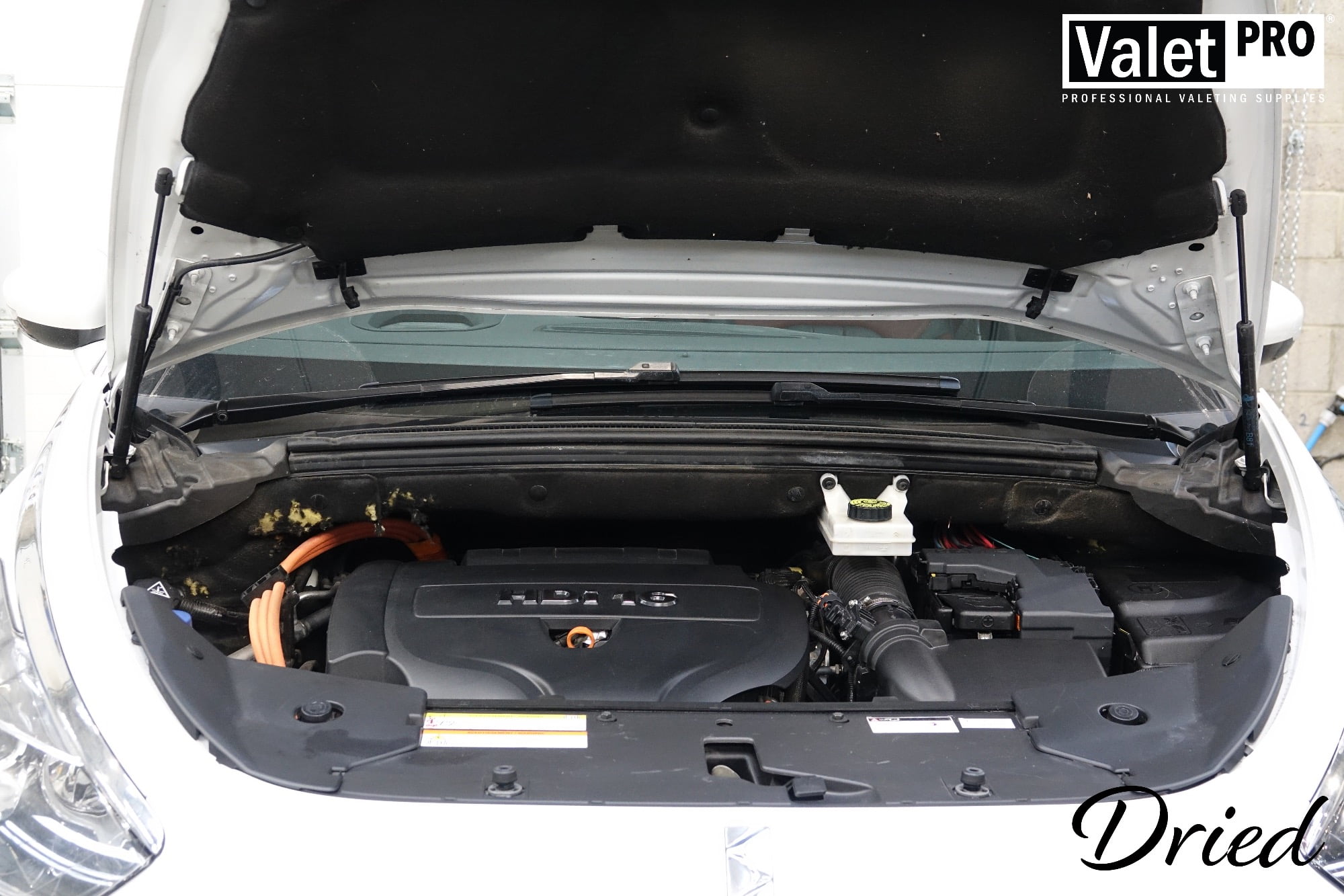 Engine Bay Cleaning ValetPRO